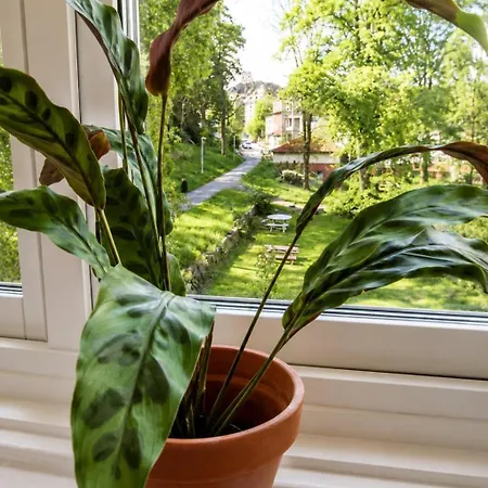 Fresh Bright Hideaway In Apartmán