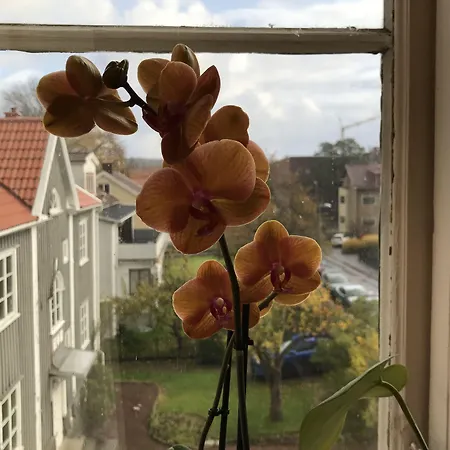 Hotel Annes Hus 3*