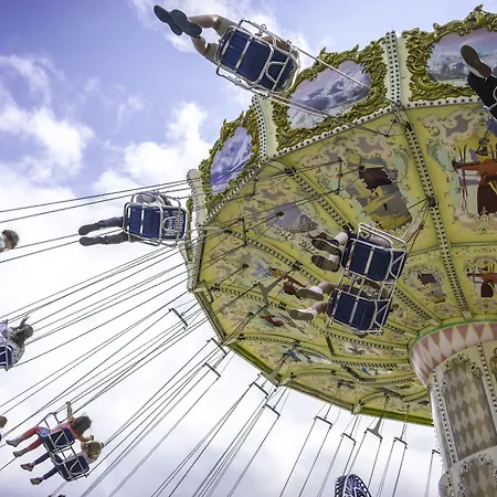 Treetop Hangout & Ξενοδοχείο 3*