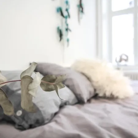 Comfortable - Ascheberg 哥德堡