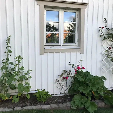 Willa Pia's House *