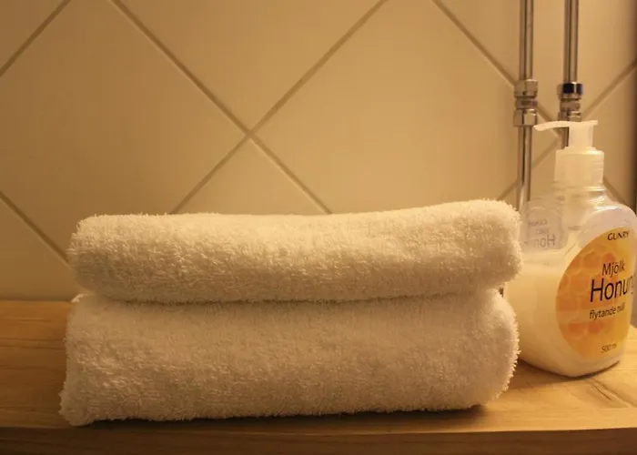 Maria Eriksson Hotel Gotemburgo