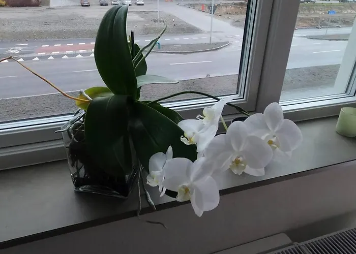 - Private In An Apartment *