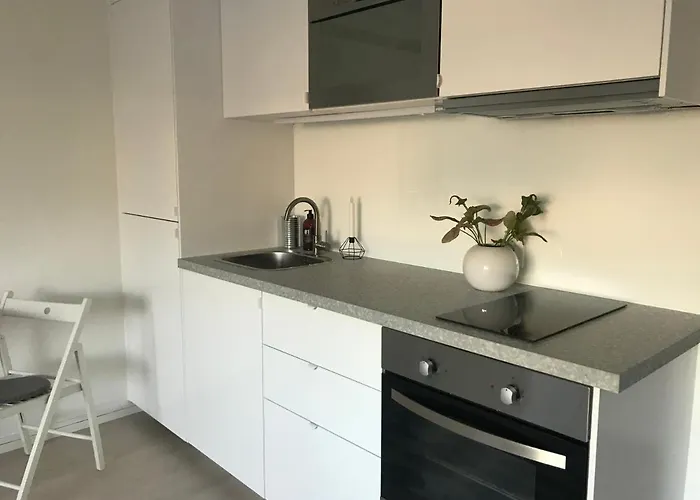 Mysig Studiolaegenhet I Vaestra Apartamento *
