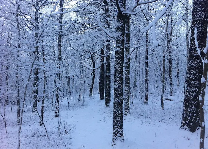 Bed and breakfast Torpet Mon