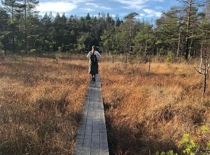 5:ans فندق مبيت وإفطار غوتنبرغ