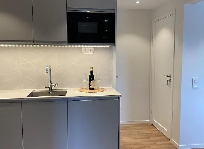 Luxurious With Free Parking Appartement