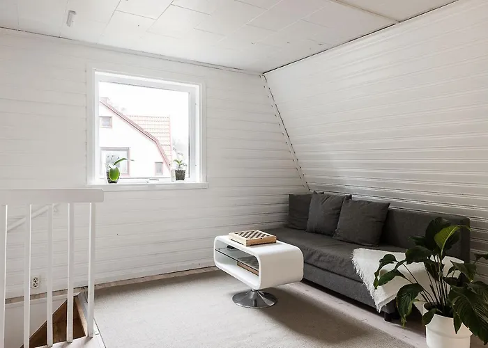 فيلة The Little Oasis In