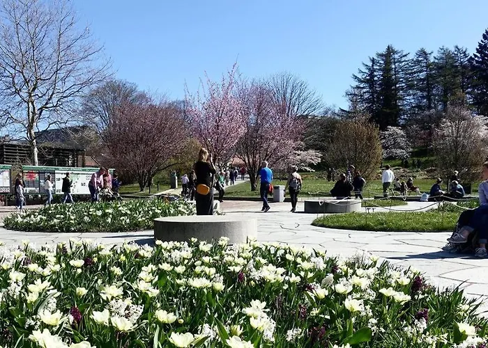 Spacious & Affordable Stay, 8 Sleeps With Garden! *