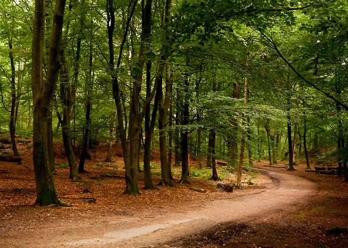 Spacious & Affordable Stay, 8 Sleeps With Garden!