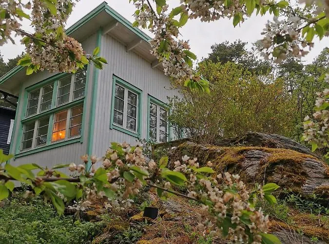 Holiday park Lilla Stugan