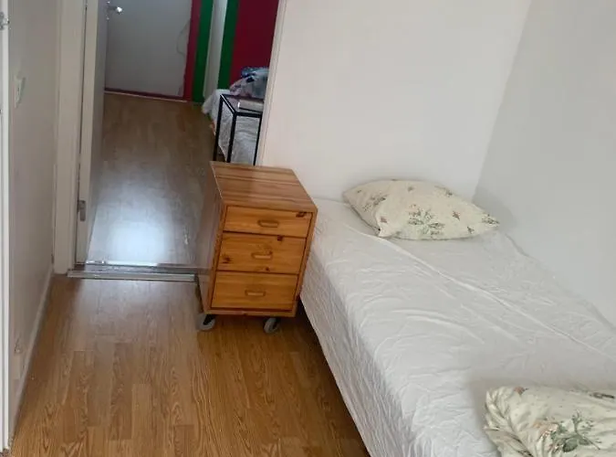 Проживание в семье Vivian House *