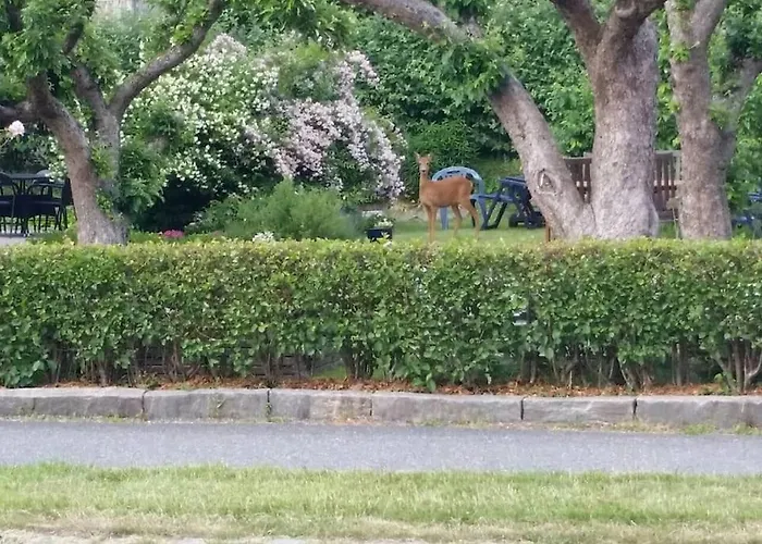 Downtown In - Free Parking Lejlighed Göteborg