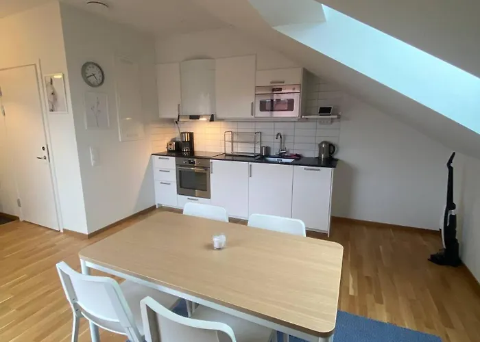 Cozy And Luxury Private Terrace Apartment Gothenburg
