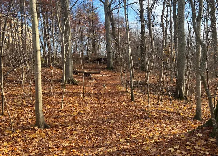 Ewa & Maude Goteborg