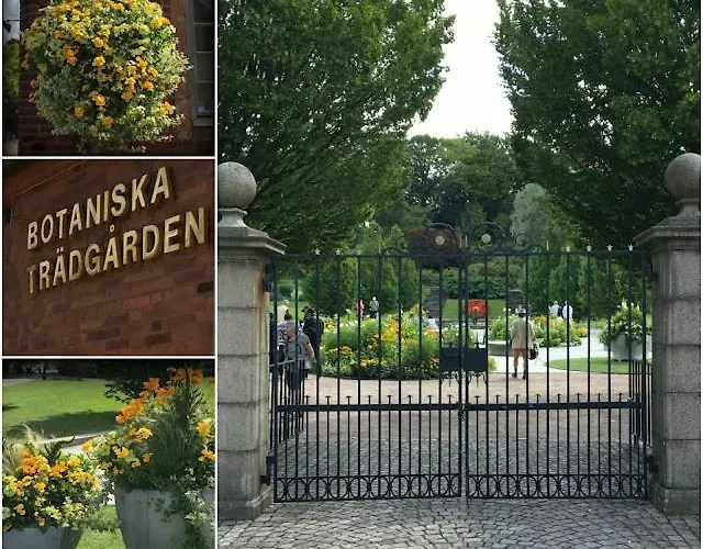 Downtown Sailboat - Vega 2 Hotel en barco *