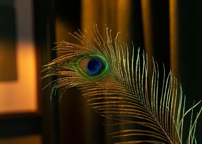 Spar Garda Gothenburg