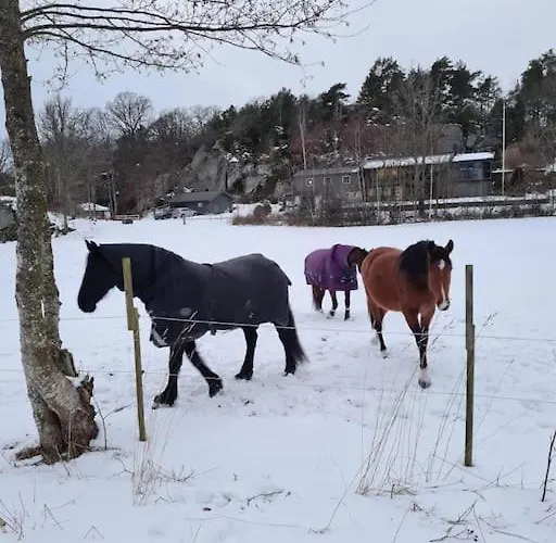 The Little House By The Paddock - Only For Non Smokers Tatil Evi