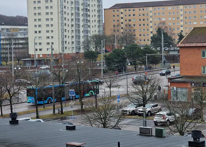 Premium Avkoppling Tre Av Perfektion