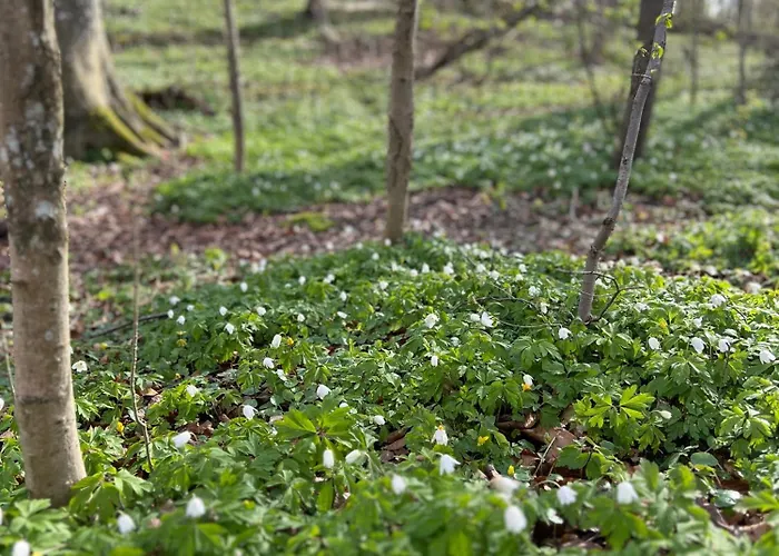 Hotel Ewa & Maude 2*