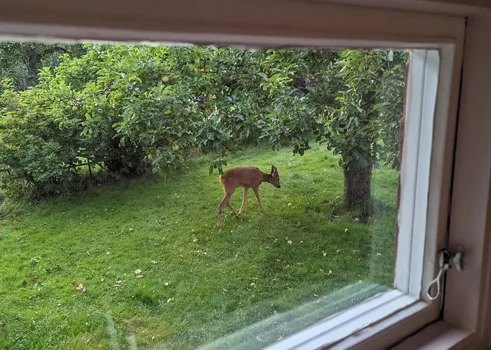30-tals Med Naerhet Centrala Gbg *
