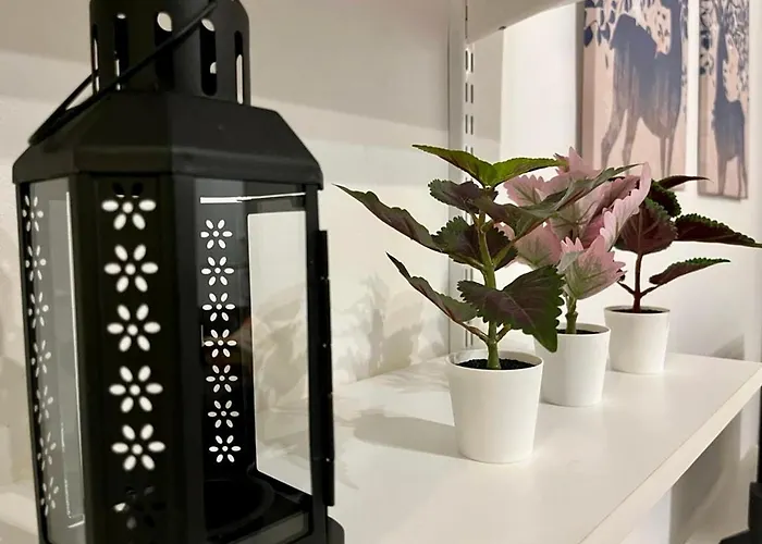 アパート Elegant In Lovely Location