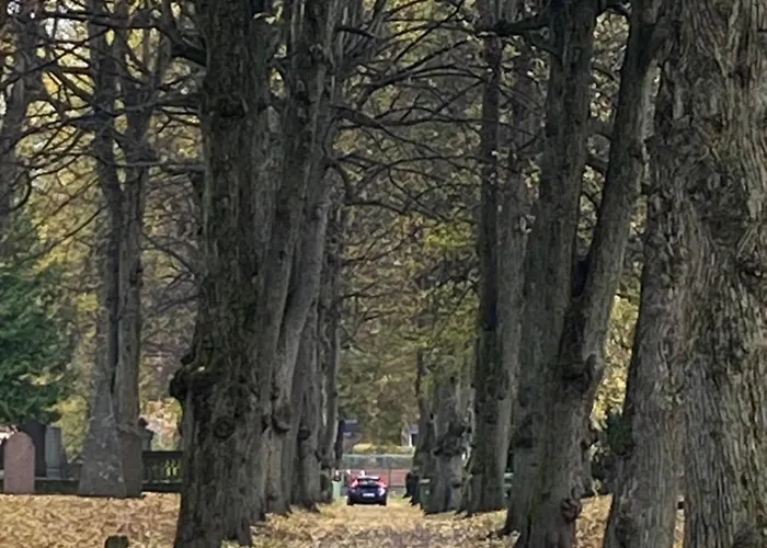 民宿 Cozy Accommodation, Single Or Bed In Dormroom