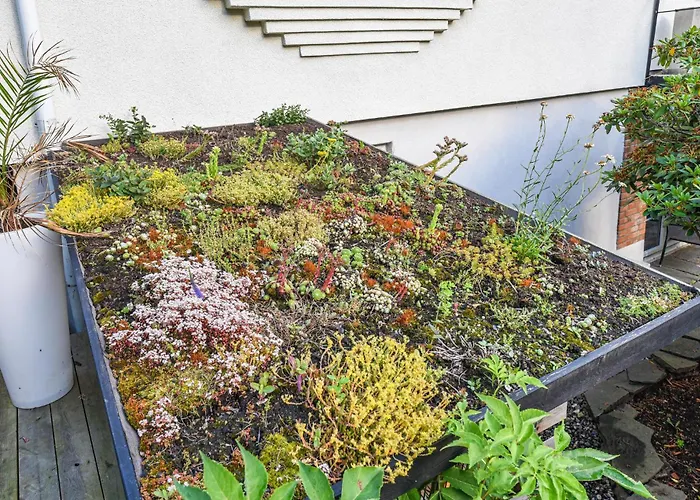 Stunning In With Sauna Holiday home *