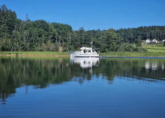 فيلة Trevligt Med Underbar Utsikt