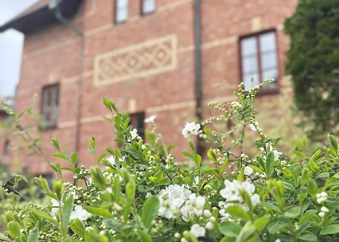 Wow, Foereningsgatan 9 3*