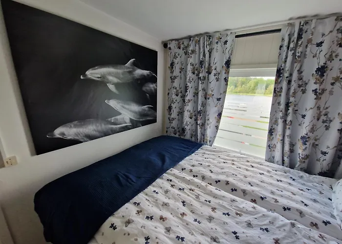 Trevligt Med Underbar Utsikt