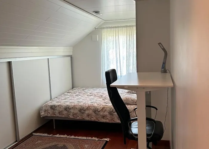 فيلة Modern Near & Nature