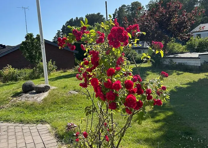 Modern Near City&nature *