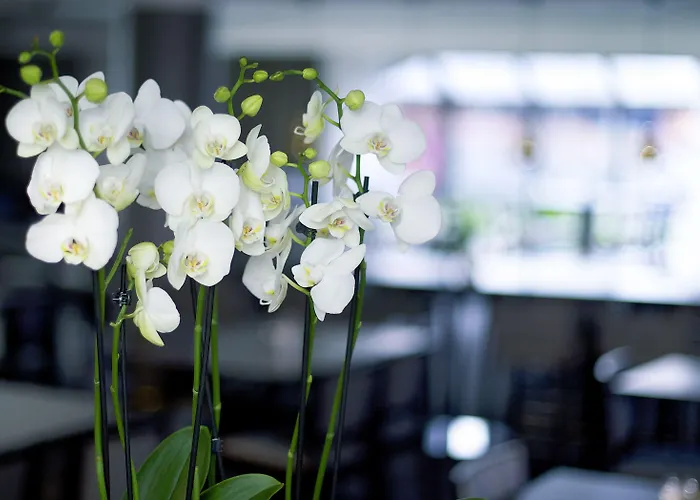 Hotell Quality Winn 3*