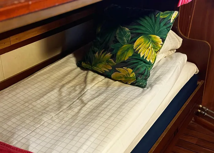 Bateau-hôtel Barken Viking 3*