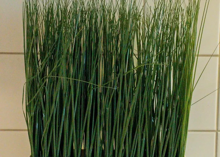 Welcoming Near Cafes, & Tram Lines Gotemburgo