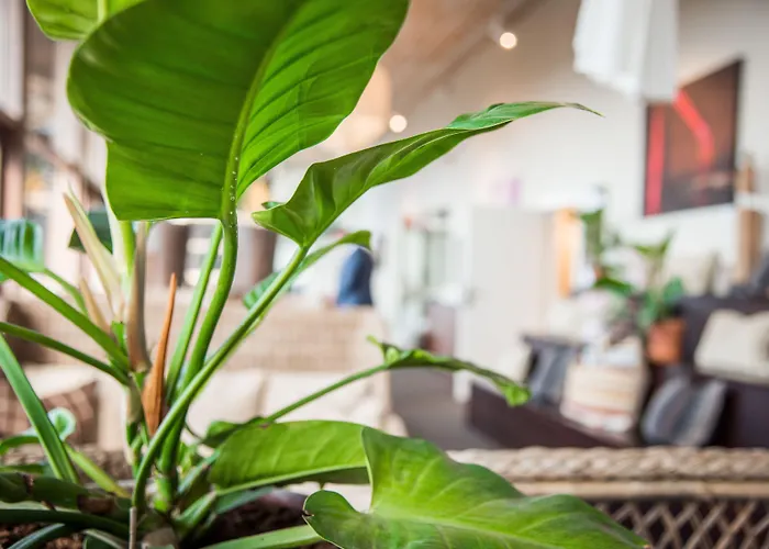 Arken Hotel&art Garden Hotel Gotenburg