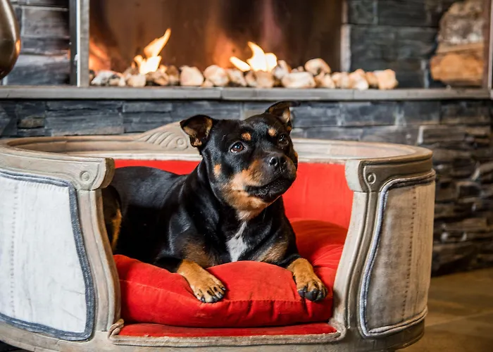 Arken Hotel&art Garden 4*