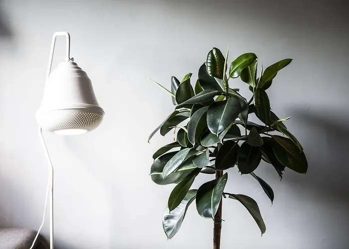 Flora 4* גטבורג