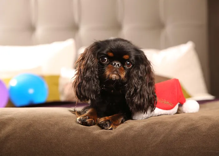 Clarion Post Göteborg