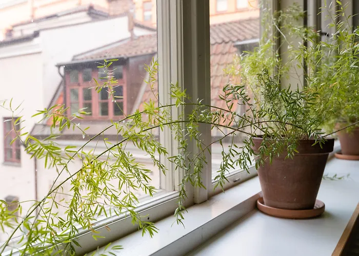 Ostello Stf Stigbergsliden Goteborg