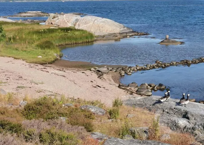 First Camp Lilleby 2*