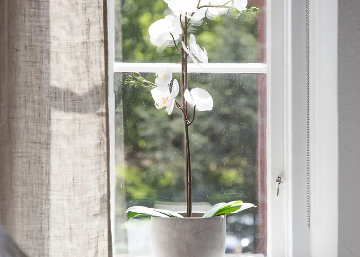 Wow, Foereningsgatan 9 3*