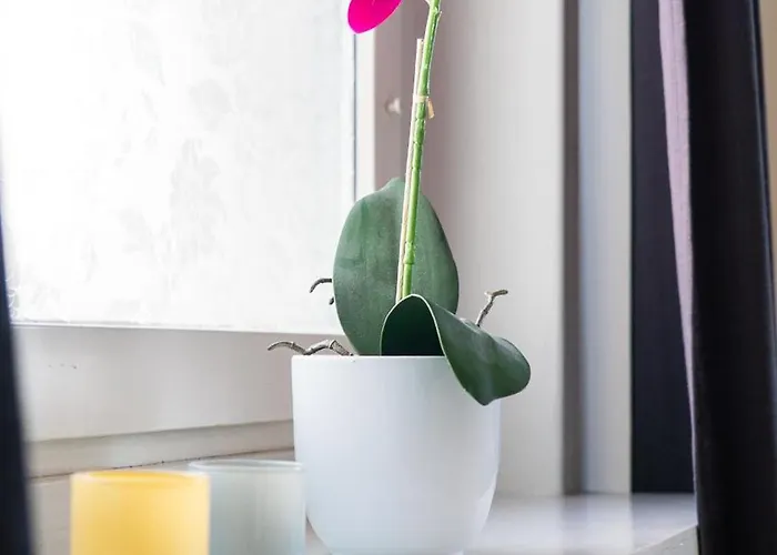 Chic 1br Center Sleeps 4 Braemaregarden