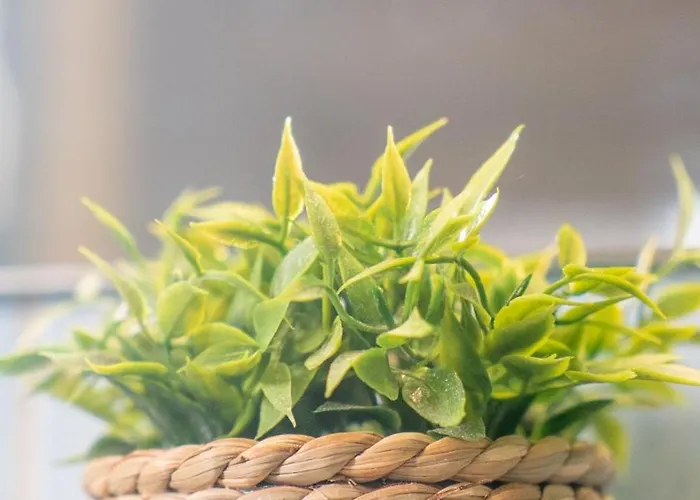 Chic 1br Center Sleeps 4 Braemaregarden Διαμέρισμα Γκέτεμποργκ