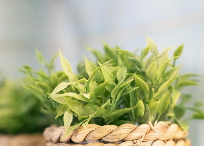 Chic 1br Center Sleeps 4 Braemaregarden * Gotemburgo