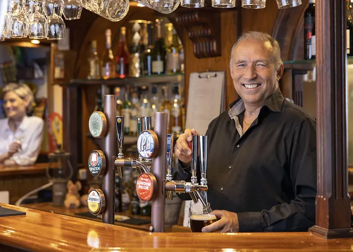 Treetop Hangout & Hotel Göteborg