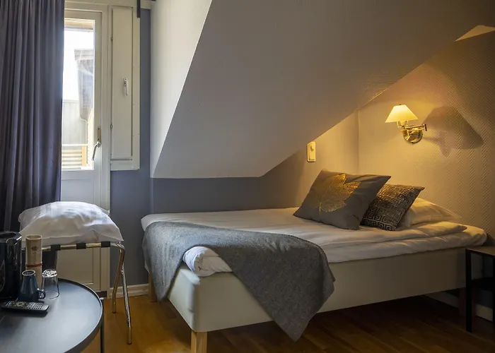 Treetop Hangout & 3*