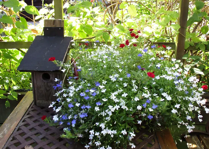 Annes Hus 3* Göteborg