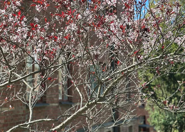 Wow, Foereningsgatan 9 Lejlighedshotel Göteborg